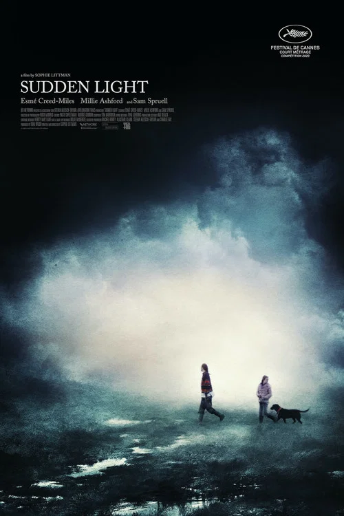 Постер: Sudden Light