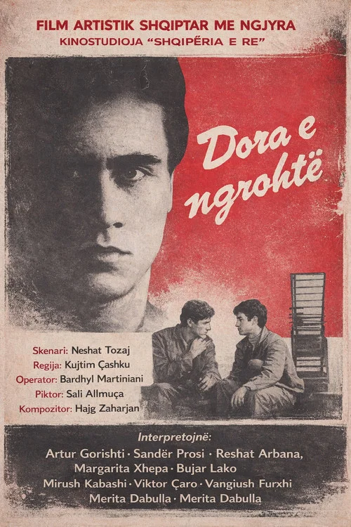 Постер: Dora e ngrohtë