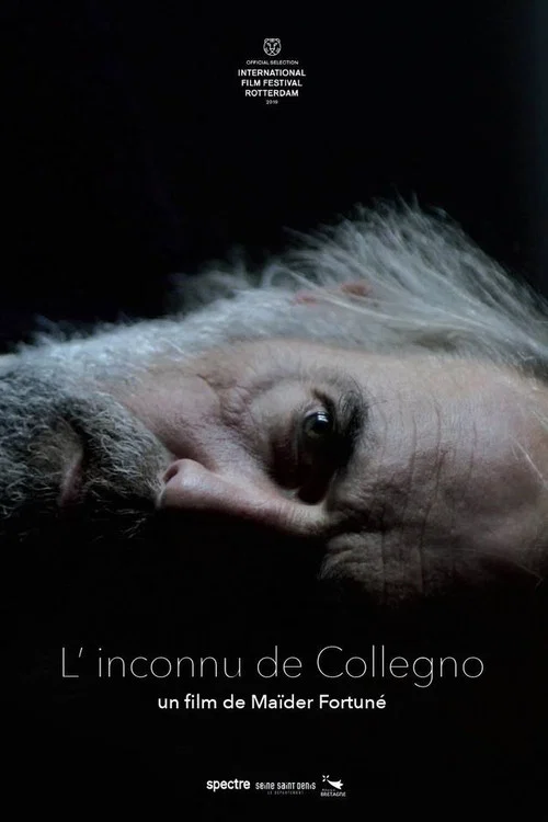 Постер: L'inconnu de Collegno