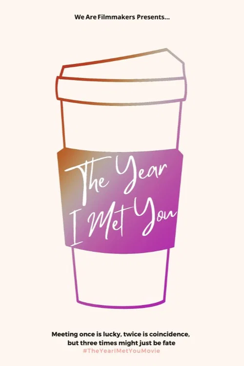 Постер: The Year I Met You