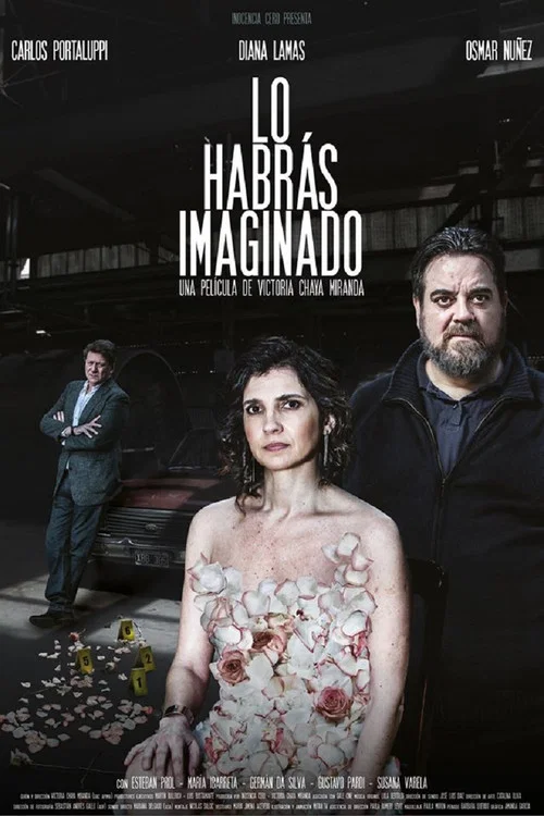 Постер: Lo habrás imaginado
