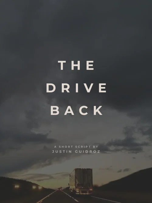 Постер: The Drive Back