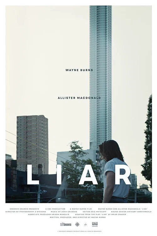 Постер: Liar