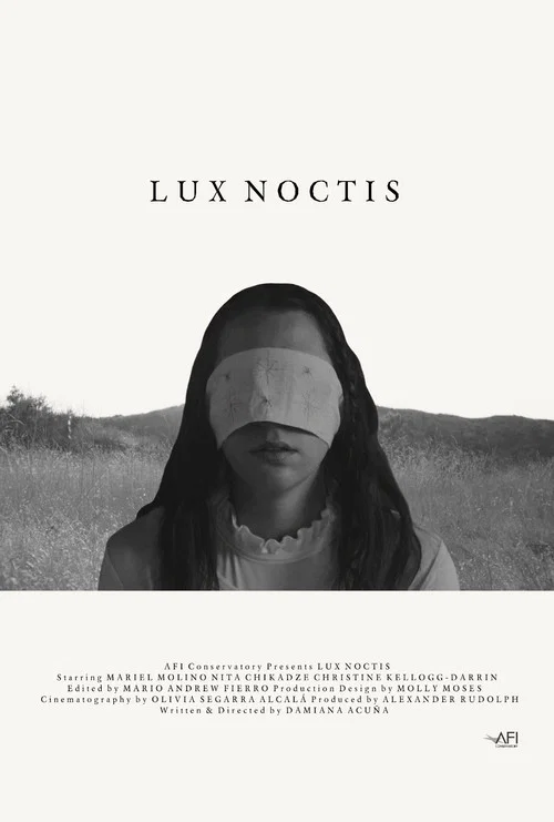 Постер: Lux Noctis