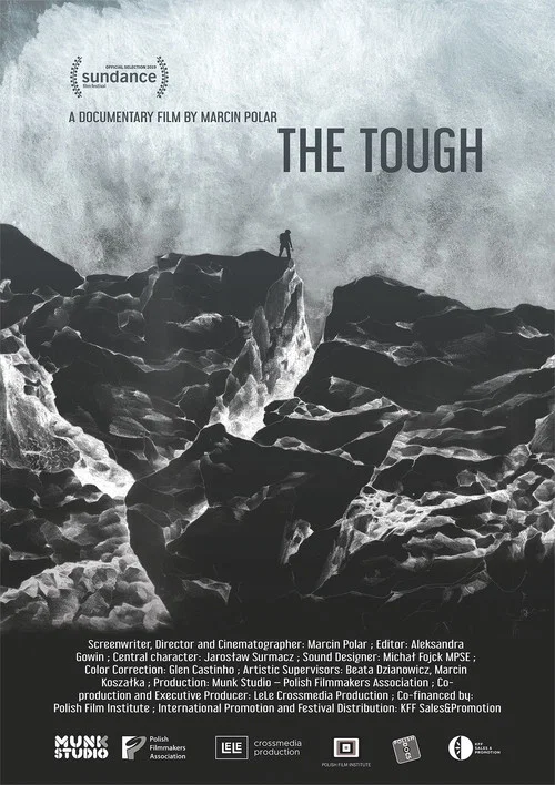 Постер: The Tough