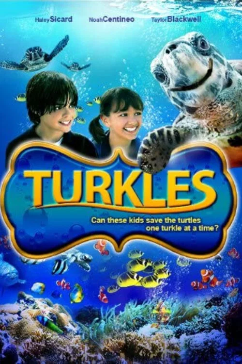 Постер: Turkles