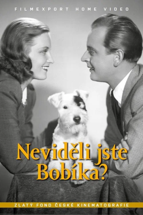 Постер: Не видели Бобика?