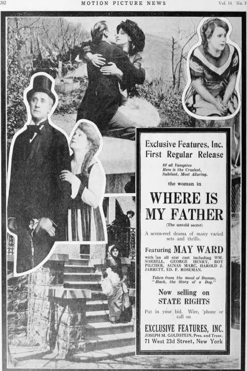 Постер: Where Is My Father?