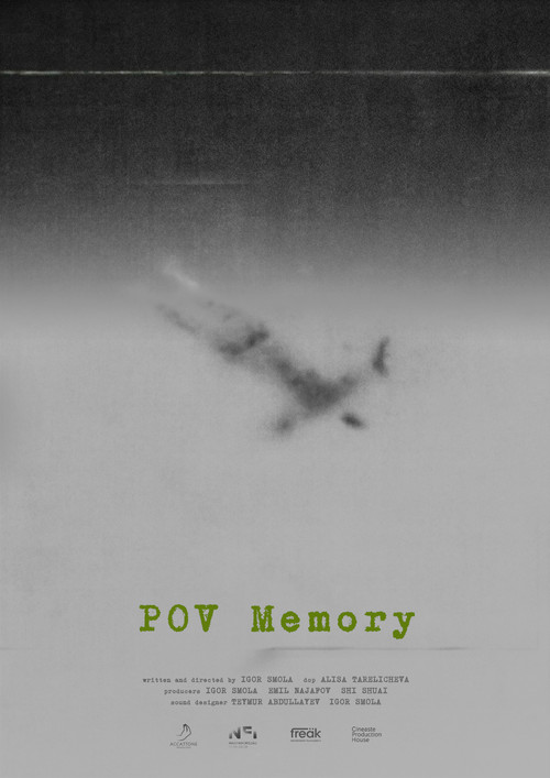 Постер: Прошлое POV