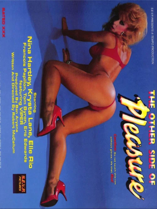 Постер: The Other Side of Pleasure