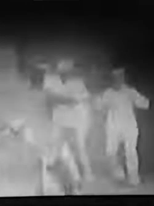 Постер: The Escaped Lunatic