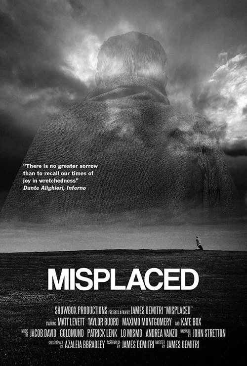 Постер: Misplaced
