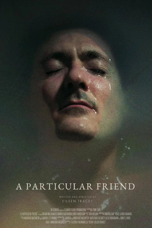 Постер: A Particular Friend