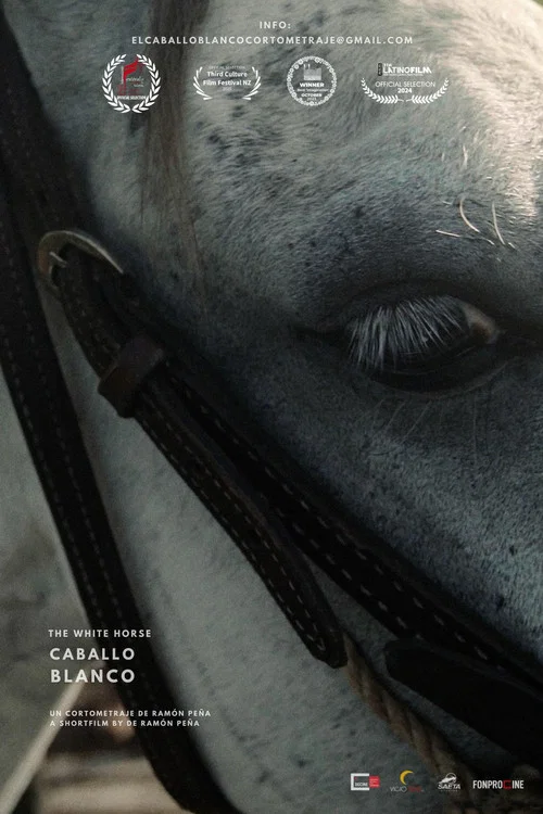 Постер: The White Horse