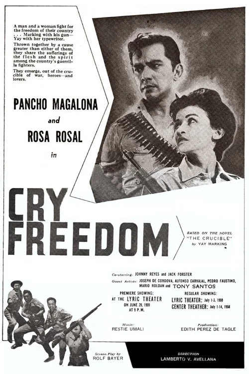 Постер: Cry Freedom