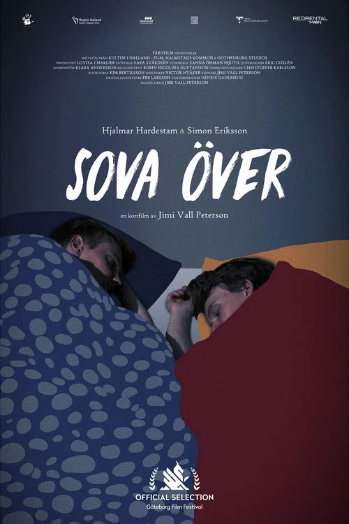 Постер: Sleepover