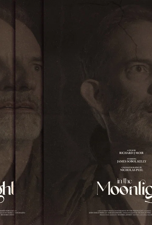 Постер: In the Moonlight