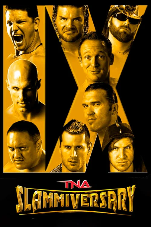 Постер: TNA Сламмиверсари 9