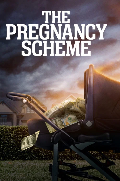 Постер: The Pregnancy Scheme