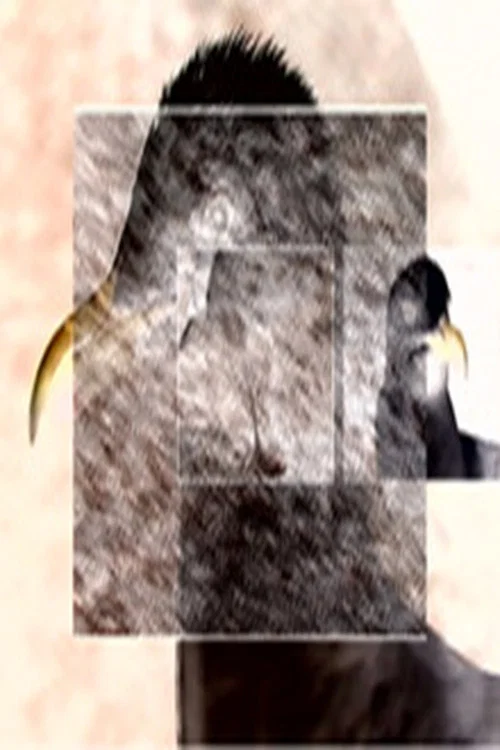Постер: Ruffled Feathers
