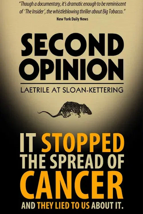 Постер: Second Opinion