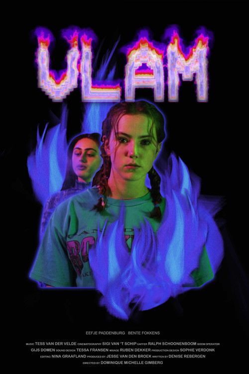 Постер: Vlam