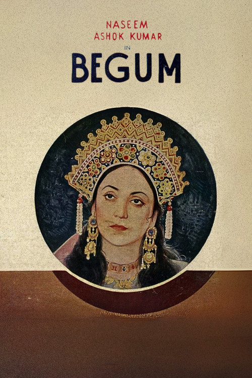 Постер: Begum