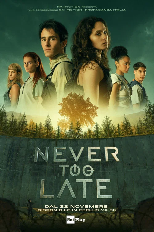 Постер: Never Too Late