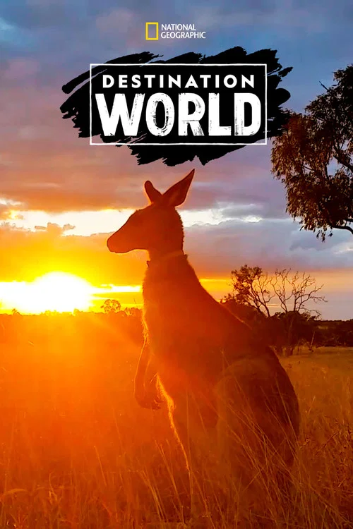 Постер: Destination World