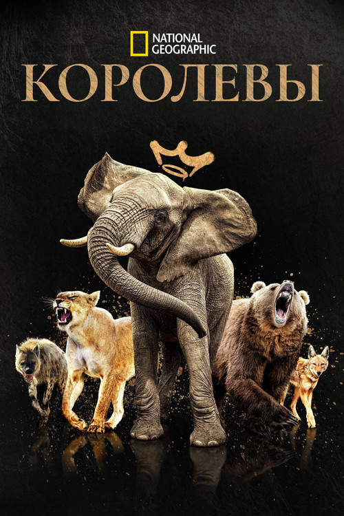 Постер: Королевы