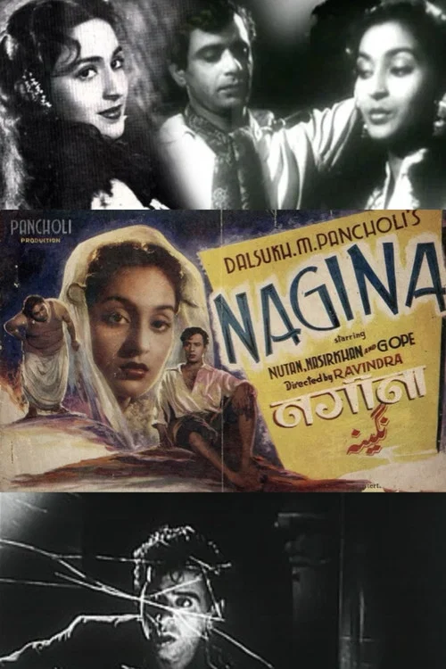 Постер: Nagina
