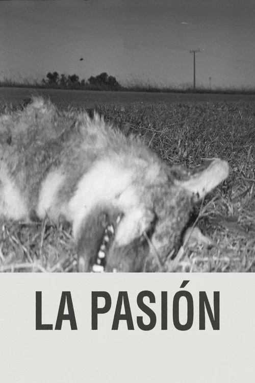 Постер: The Passion