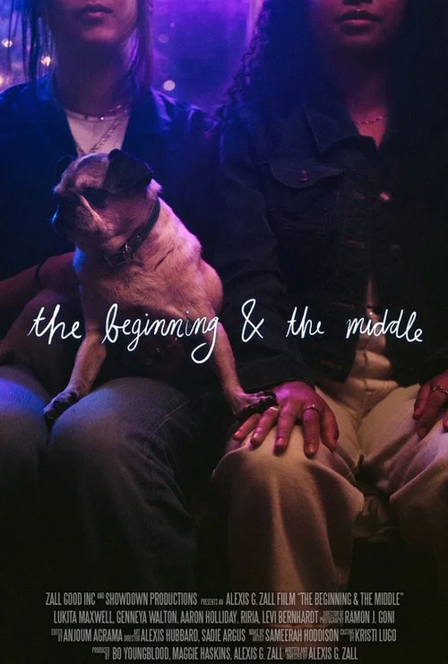Постер: The Beginning & The Middle