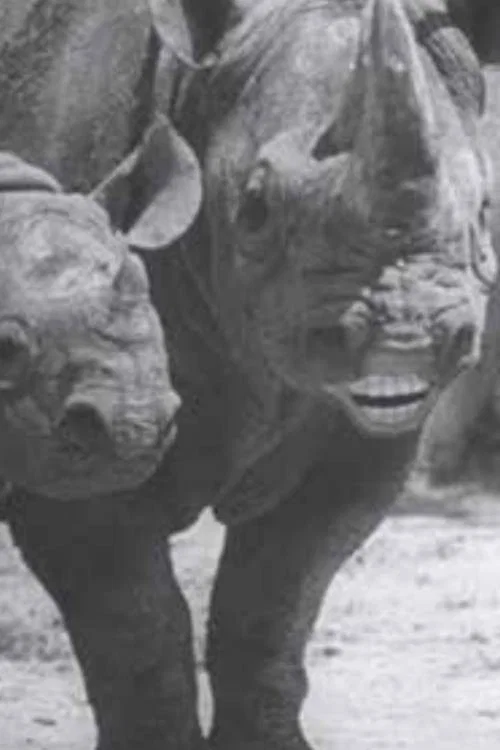 Постер: Speaking of Animals: In a Musical Way
