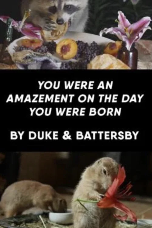 Постер: On the Day You Were Born