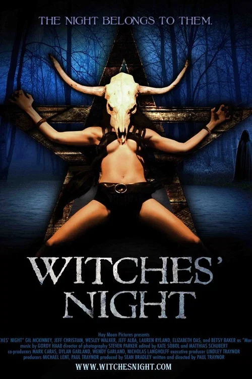 Постер: Witches Night