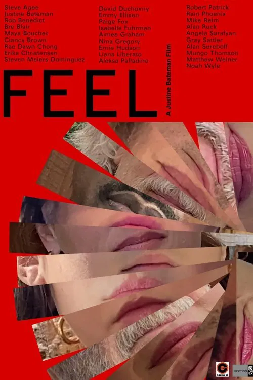 Постер: Feel