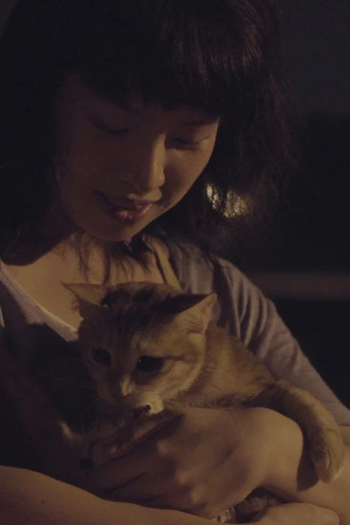 Постер: Stray Cat