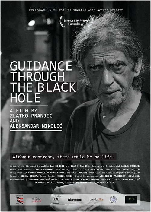 Постер: The Black Hole