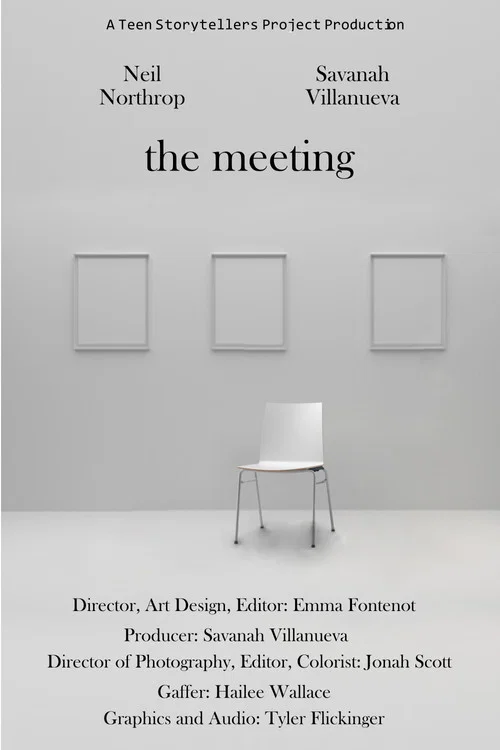 Постер: The Meeting