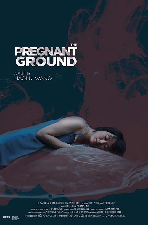 Постер: The Pregnant Ground