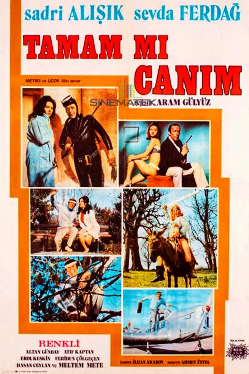 Постер: Tamammi canim?