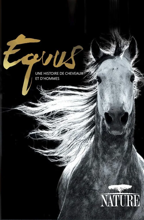 Постер: Equus: Die Geschichte von Pferd und Mensch