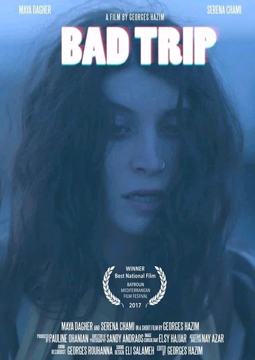 Постер: Bad Trip