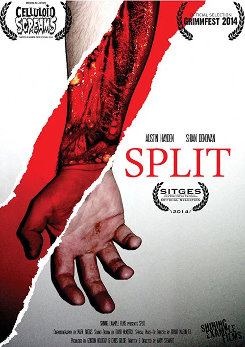 Постер: Split