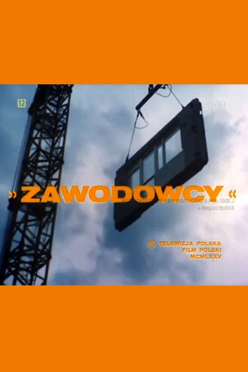 Постер: Zawodowcy