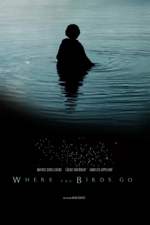 Постер: Where the birds go