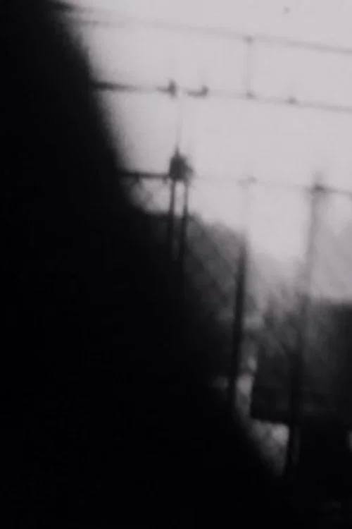 Постер: Double Shutter
