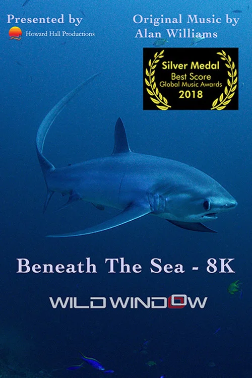 Постер: Wild Window: Beneath the Sea