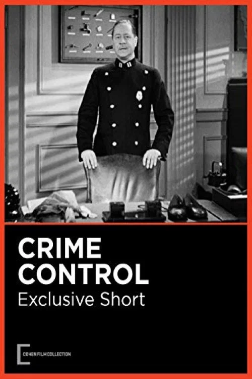 Постер: Crime Control